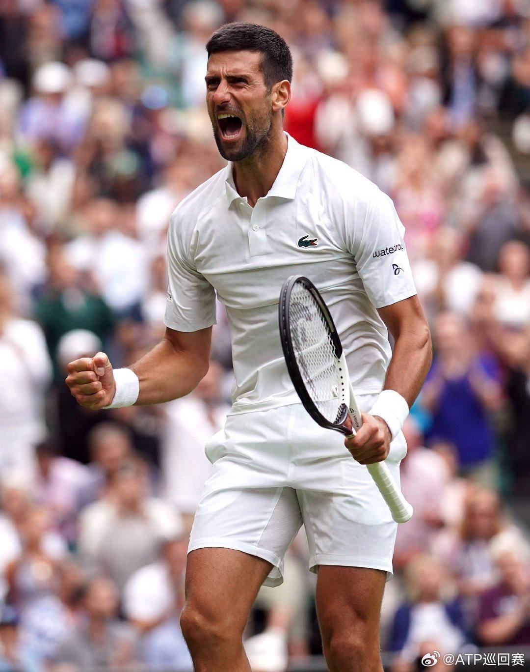 他们干脆利 他们干脆利